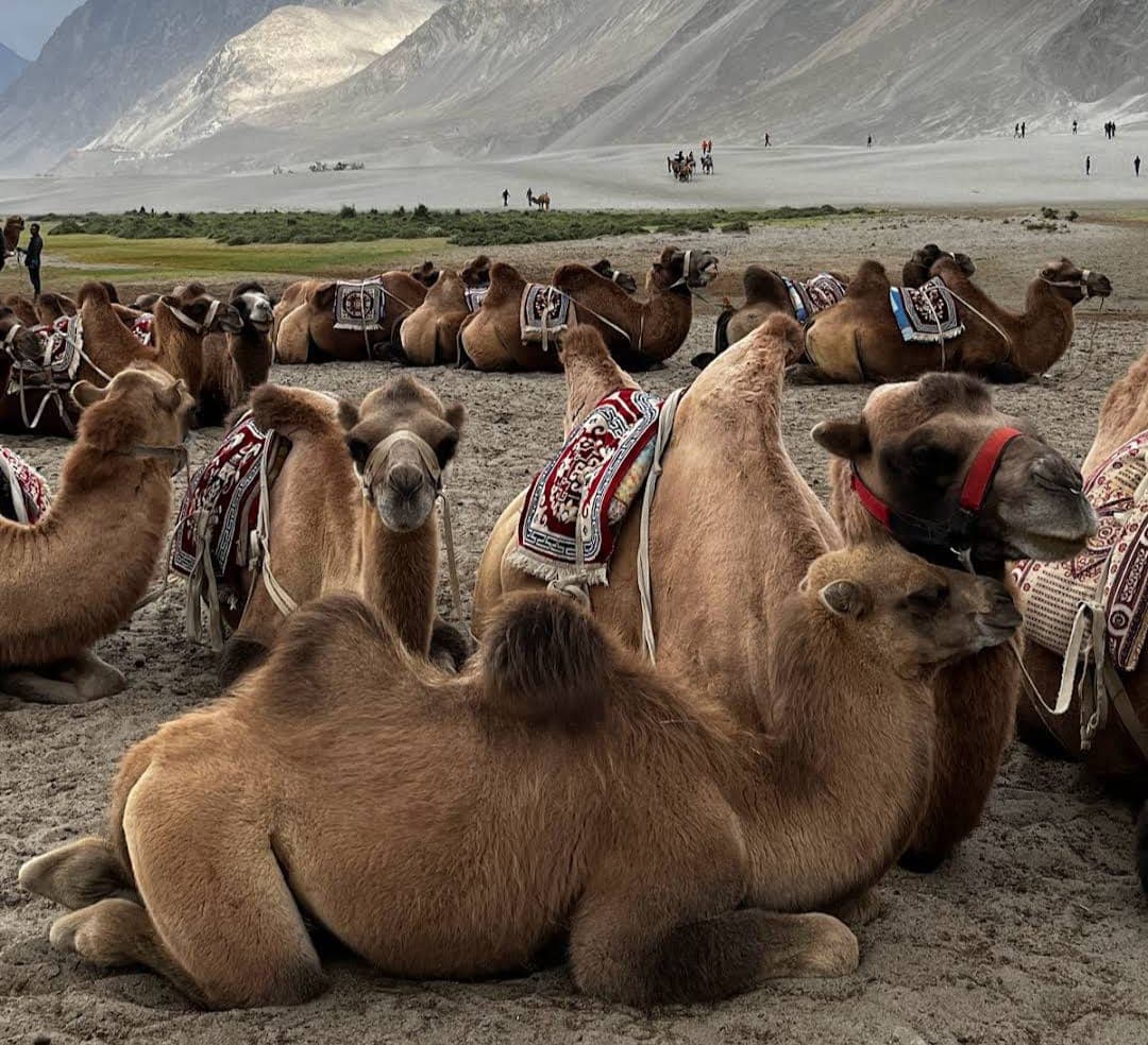 Ladakh image