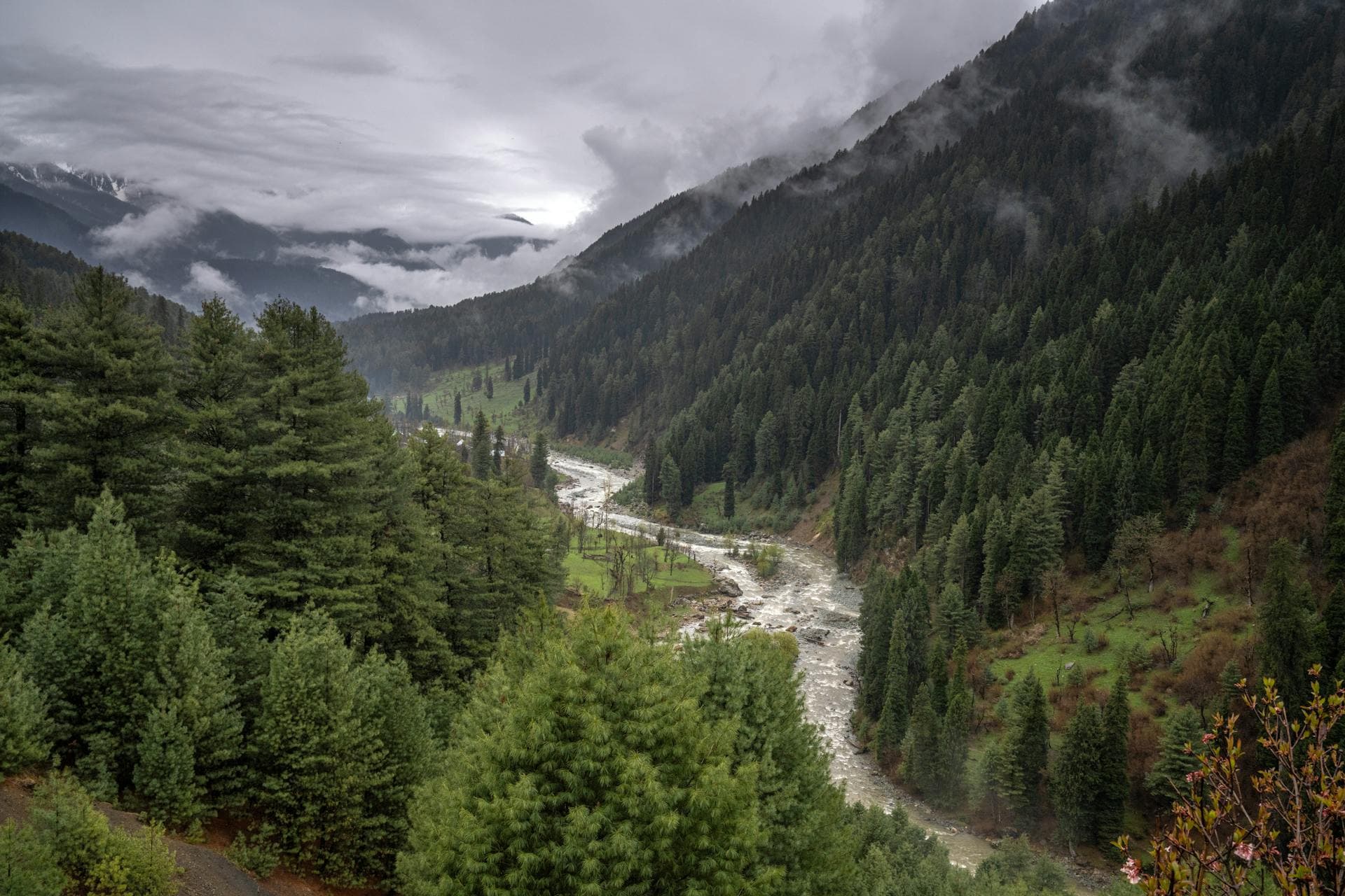 Kashmir image